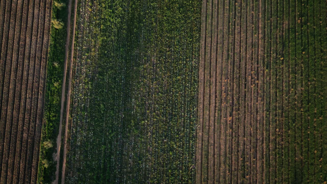 granja, agricultura y drone del paisaje en el campo