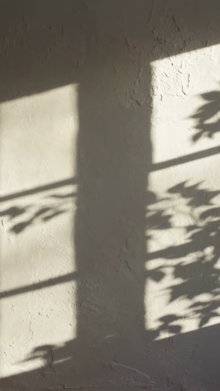 Vertical video: Shifting window-grid and foliage shadows across plaster at home, sun nudging leaves