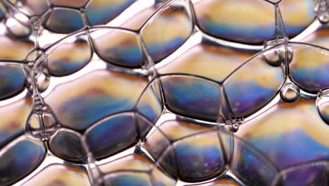 macro shot of colorful shiny bubbles and rainbow colors