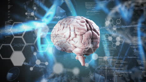 animation of data processing and brain over chemical formula