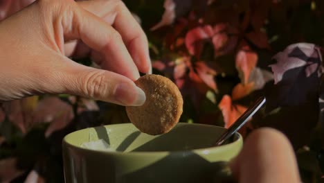 woman dipping biscuit in tea cup in autumn, close up