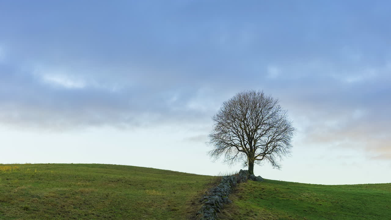 구름이 움직이는 시간 경과, 푸른 초원에 외로운 잎이 없는 나무 위로 하늘이 맑아지다