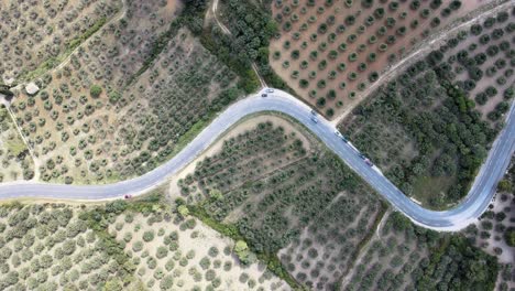 Una-Vista-Estática-A-Vista-De-Pájaro-De-Una-Carretera-Que-Atraviesa-Un-Mosaico-De-Campos-En-Les-Beaux-De-Provence,-Francia