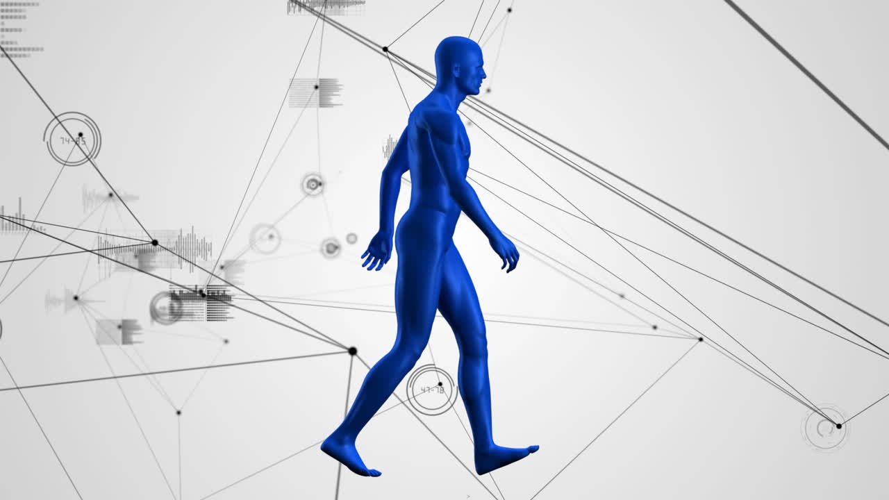 Animation of network of connections and data processing over human body model