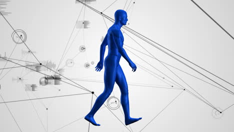 animation of network of connections and data processing over human body model