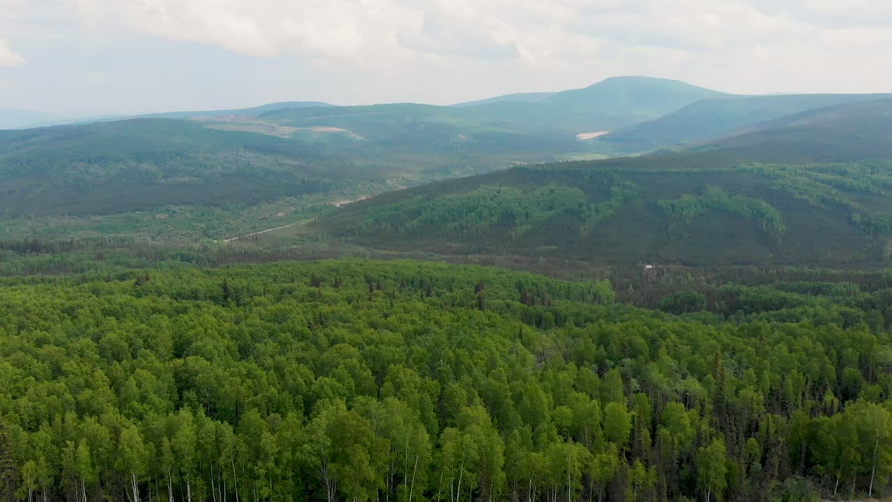 video de drones de 4k de montañas blancas cerca de fox, alaska en un día soleado de verano