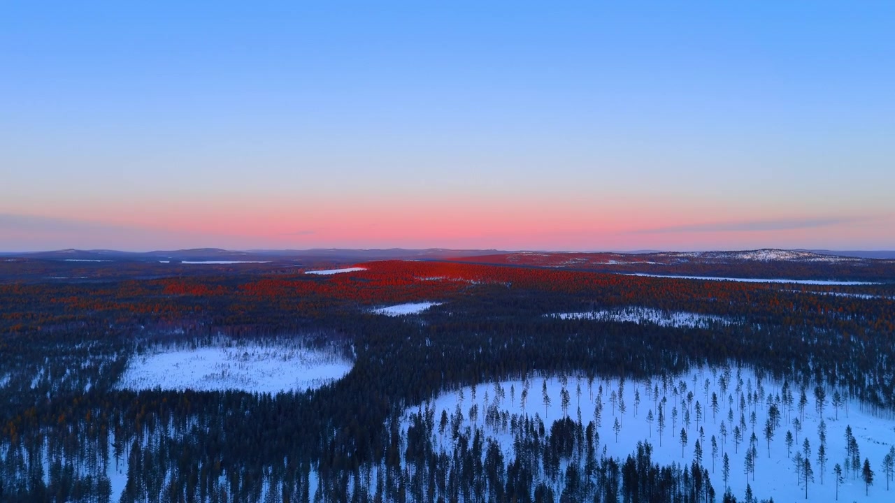 Endeløs snødekt skog og frosne myrer i skumringen, Lappland. Luftpanorama av rødt horisontglød over furutopper og hvite lysninger.