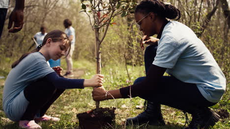 Zwei-Verschiedene-Mädchen-Leisten-Ehrenamtliche-Arbeit,-Indem-Sie-Kleine-Bäume-Im-Wald-Pflanzen