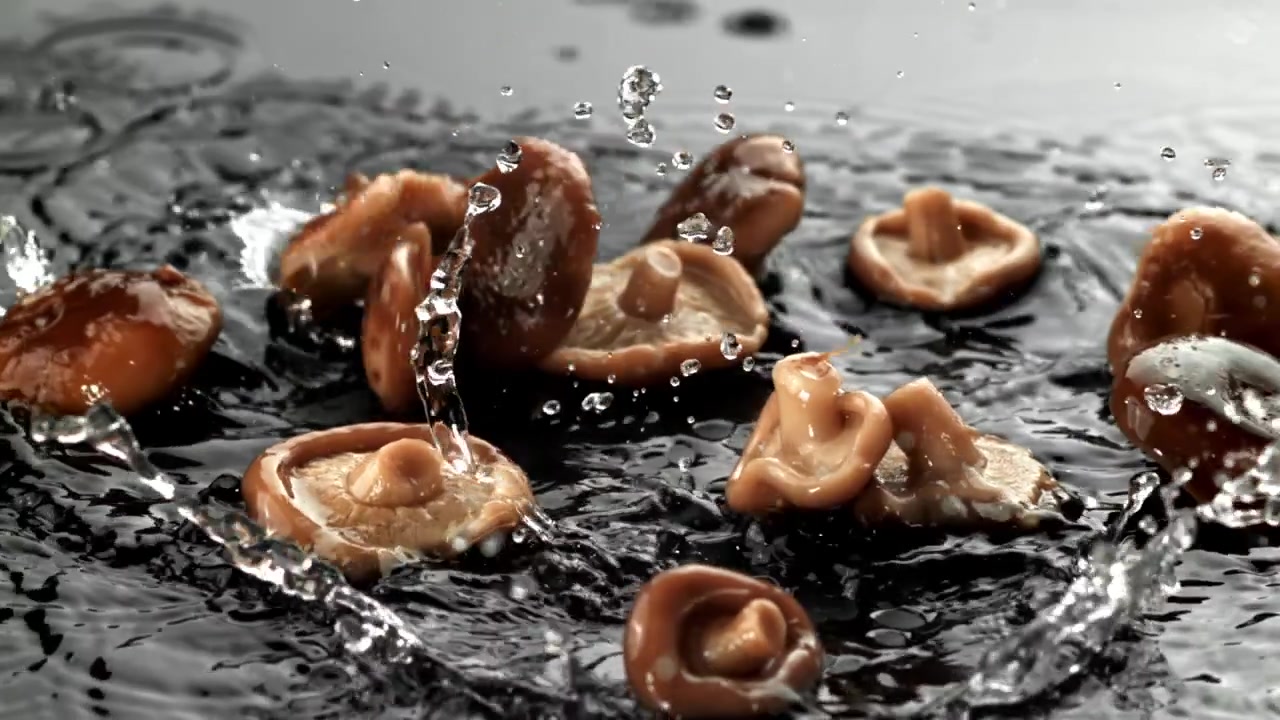 Friske shiitake-sopp som plasker ned i vann i sakte film