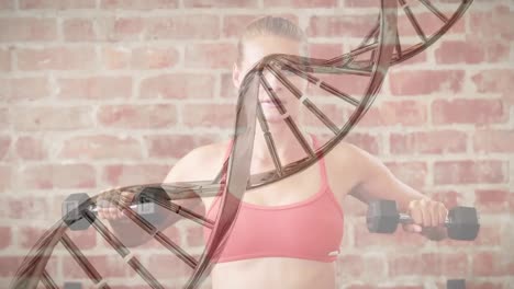 dna 구조가 백인 여성에 대해 회전합니다. 체육관에서 덤벨로 운동하는 건강한 여성입니다.