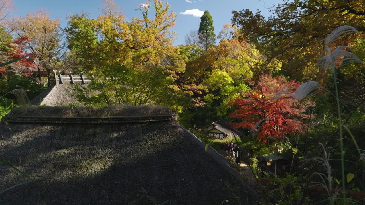 impresionantes edificios históricos japoneses de paja rodeados de colores de otoño