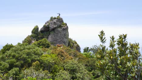 Person-taking-selfie-photo-on-mountaintop-of-rock,enjoying-success-and-view-during-sunny-day---Blue-Ocean-in-background---Te-Whara-Track,New-Zealand