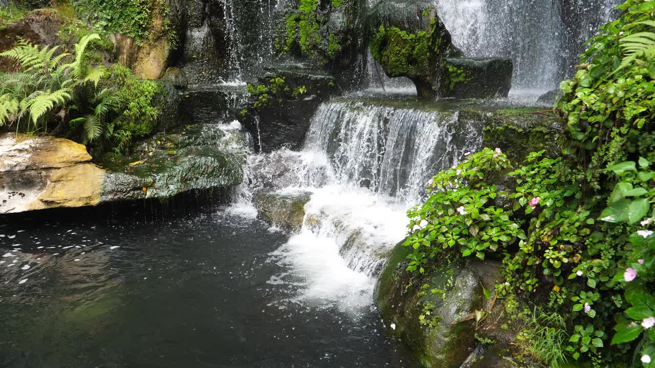 naturaleza panorámica de hermosas cascadas hojas de plantas verdes y estanque de agua dulce