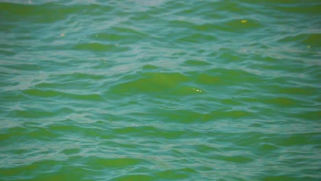 Continuous-wavy-green-oily-water-surface-flowing-fast