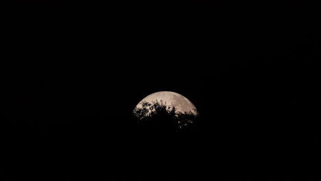 Gipfel-Des-Mondes,-Aufgenommen-Mit-Baumwipfeln-In-Nahaufnahme,-Nahaufnahme-Während-Der-Nacht,-Mond-Herauszoomen,-Und-Lunalon-Konstruktion-Mit-Detaillierter-Mondlandschaft,-Aufgenommen-In-4k