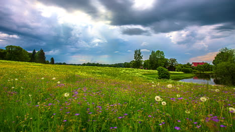 Toma-De-Lapso-De-Tiempo-Del-Cielo-Dramático-Con-Nubes-Voladoras-Sobre-Un-Macizo-De-Flores-Escénico-Al-Lado-Del-Río-En-La-Naturaleza