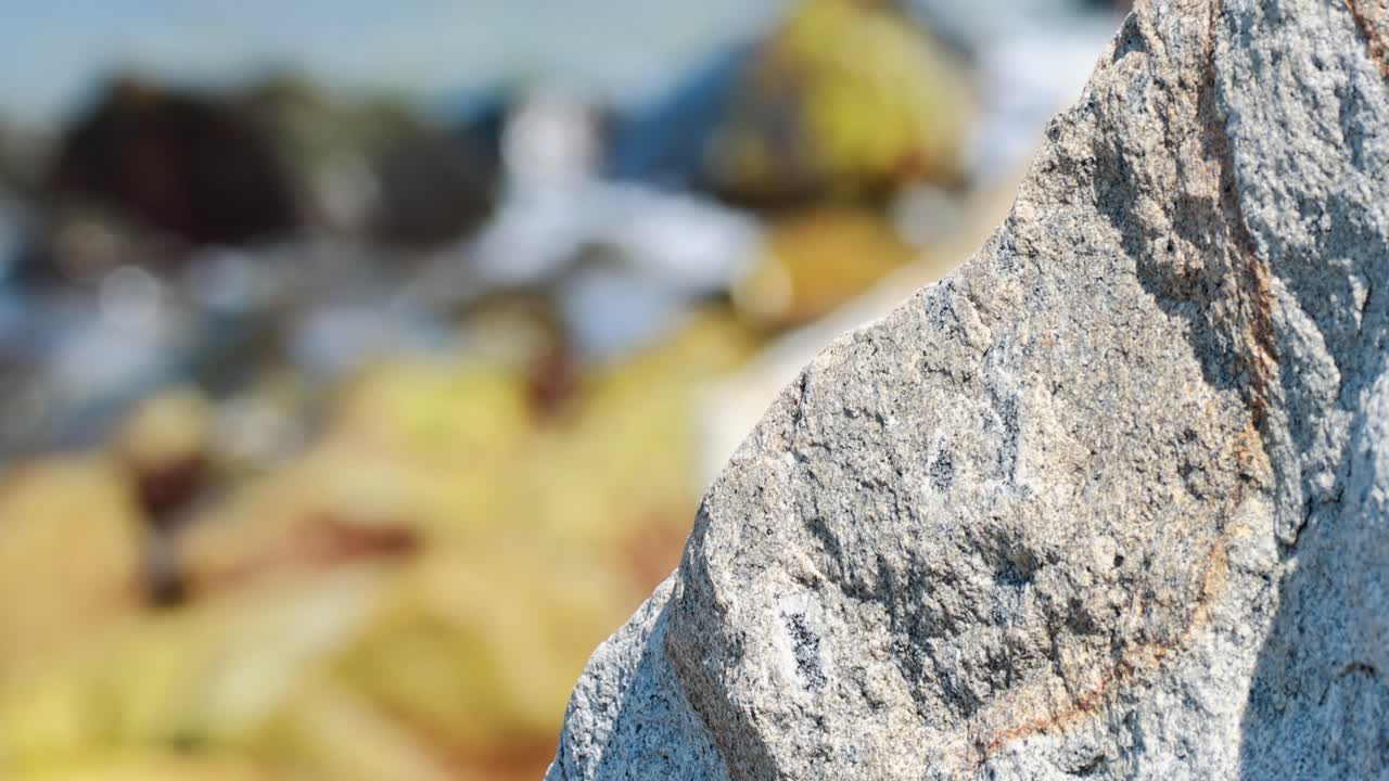 Detailed view of textured rocks with blurred background of seaweed and ocean waves in Phuket, Thailand