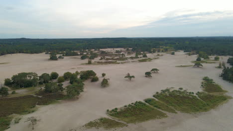 aerial of amazing sand dunes at the edge of forest and bright, beautiful clouds