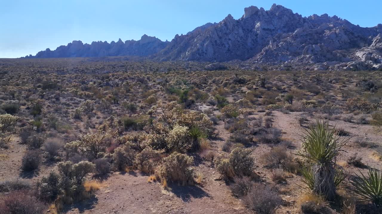 árboles de yuca parque nacional del árbol de josué california dron aéreo condado de san fernando desierto de mohave paisaje de colorado formación rocosa de kelso pinto cuenca dunas cielo azul tarde soleada hacia adelante pan up