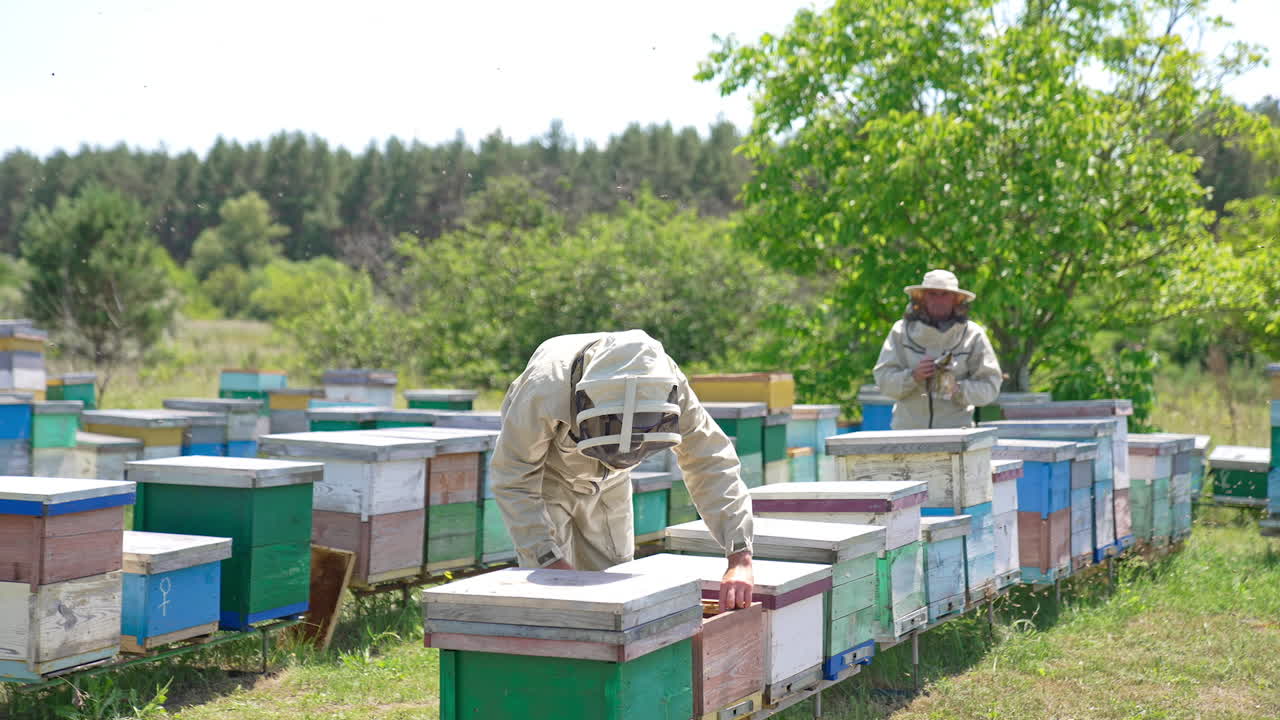 Beekeepers working at the large rural bee farm. Men in protective outfits and hats work together at apiary. Nature background.