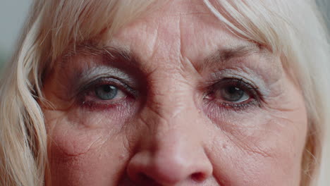 extreme close-up macro portrait of wrinkled face, old senior beautiful woman eyes looking at camera