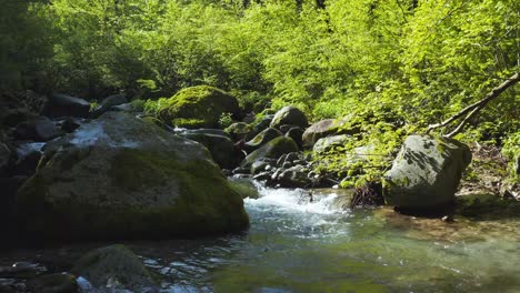 River-in-Forests-of-Mount-Daisen,-Tottori-Prefecture-Japan