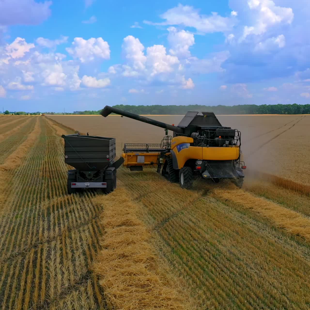 Grain harvesting equipment in the field. Harvest time. Agricultural sector