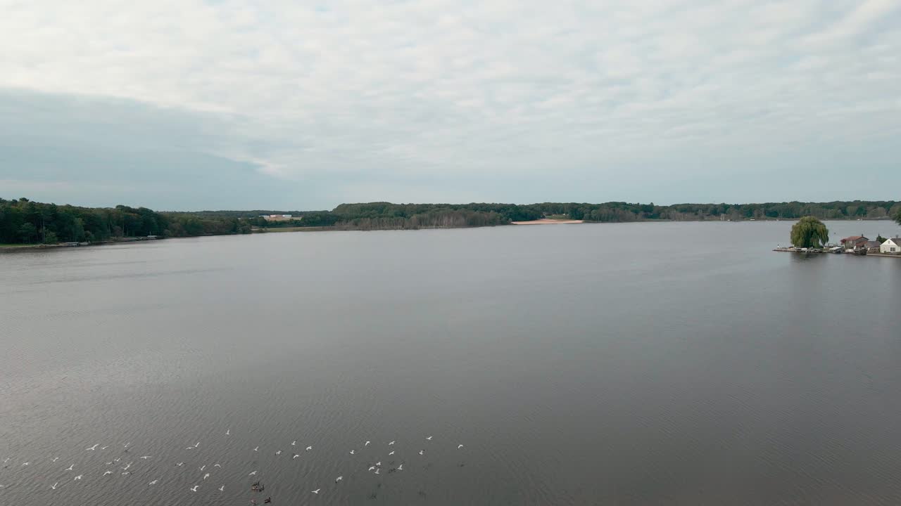 무인 항공기 아래에서 날아 다니는 갈매기 떼