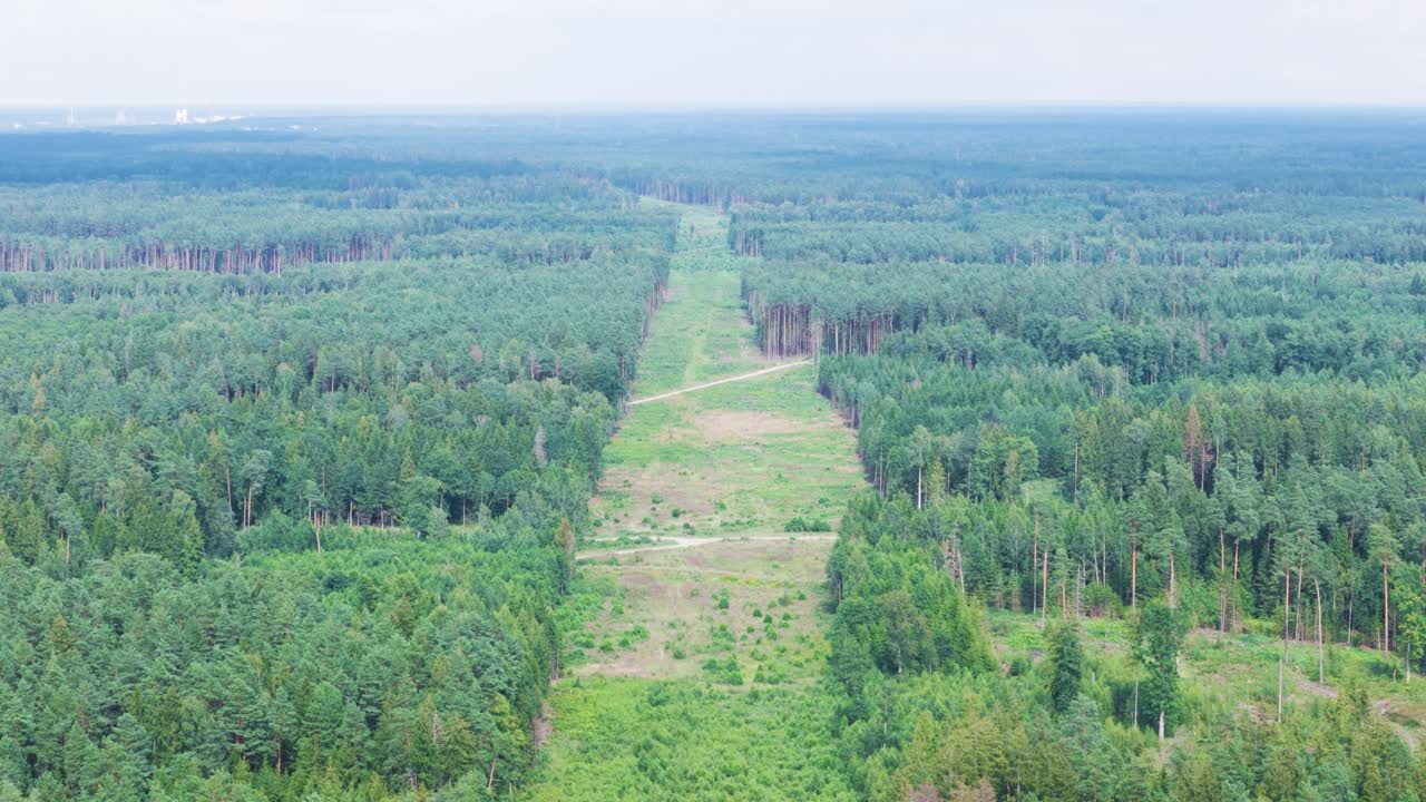 Endless forest line cut down for railway project, aerial view
