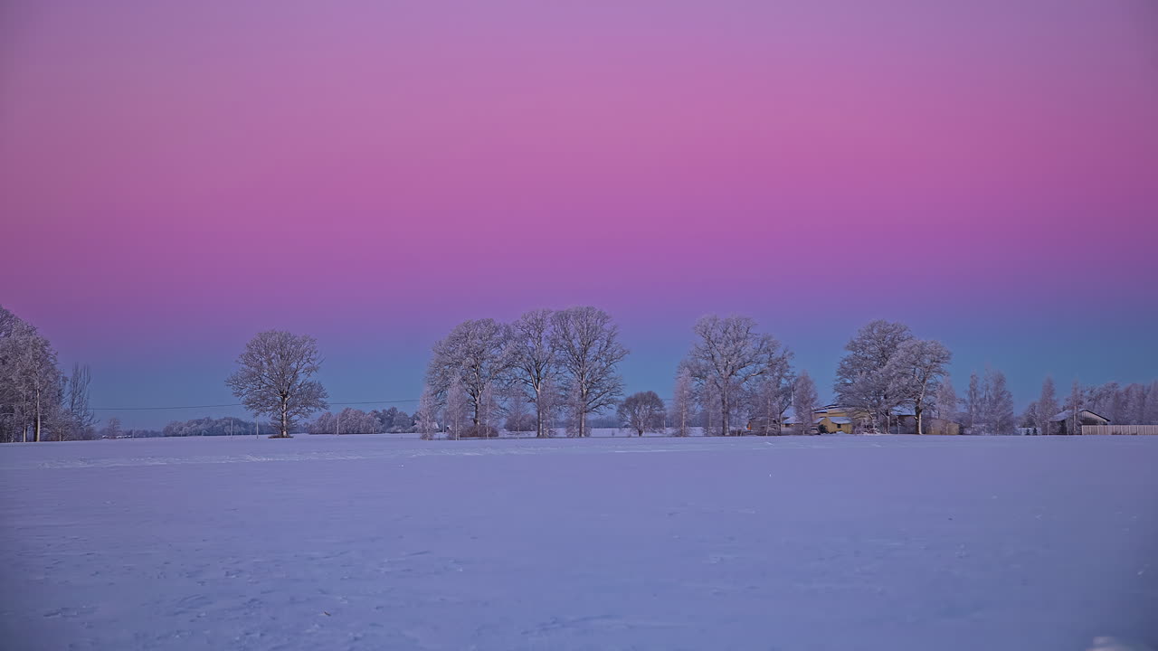 눈으로 인 겨울의 자연 위의 분홍색 지평선
