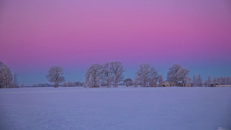 Horizonte-En-Tonos-Rosados-Sobre-La-Naturaleza-Invernal-Cubierta-De-Nieve