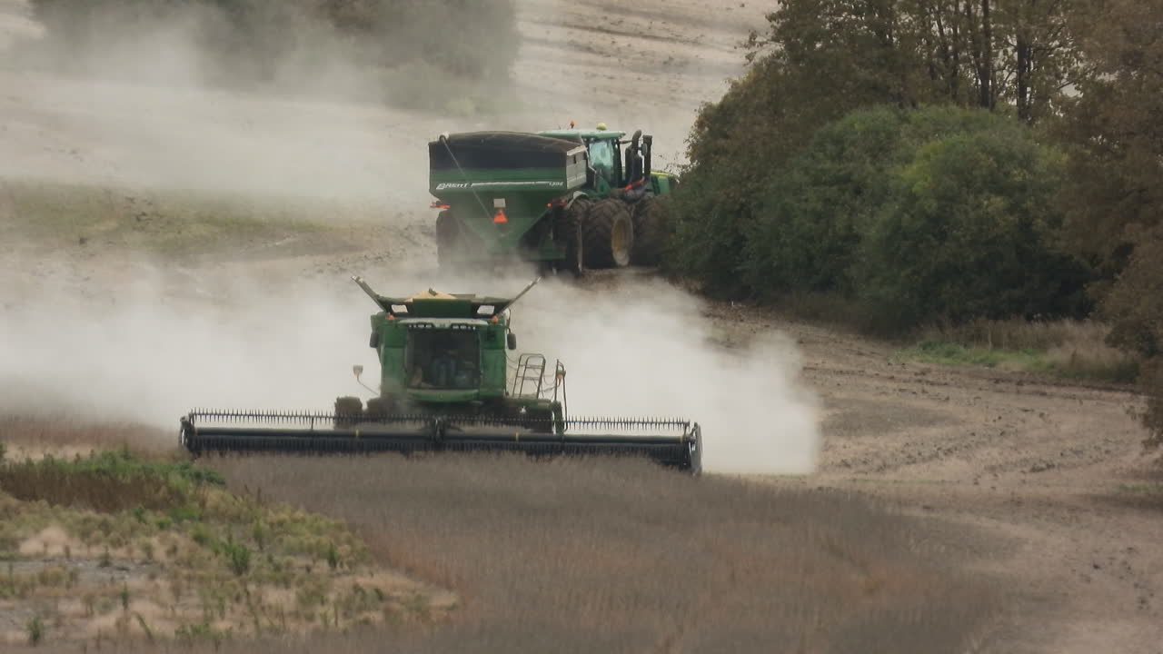 Vista da colheita de trigo com colheitadeira, trator transporta carga, maquinaria agrícola