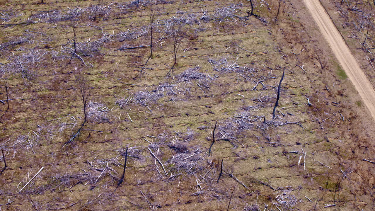 последствия лесного пожара видны через обширные снимки дронов.
