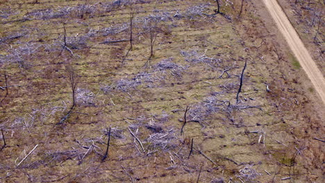 forest fire aftermath seen through sweeping drone shots.