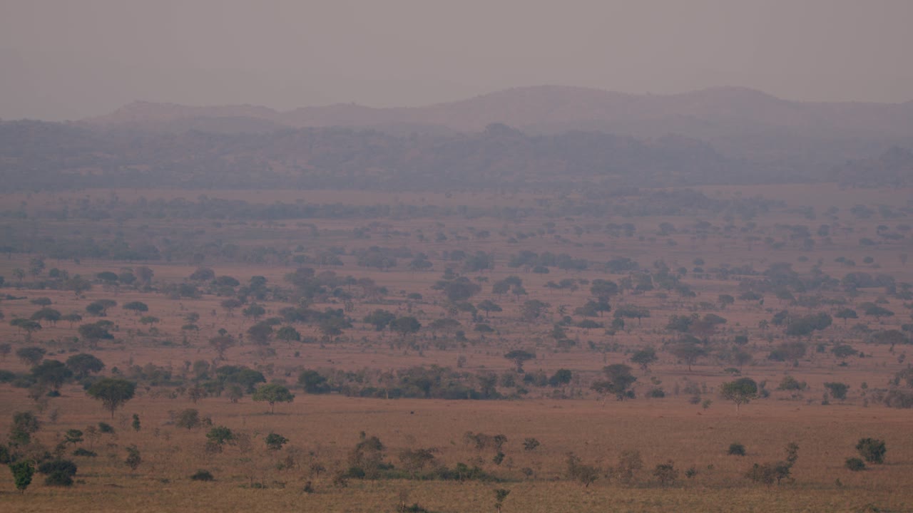 Open Savannah Of Kidepo Valley National Park In Uganda, East Africa. Wide Shot