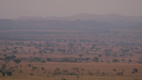 open savannah of kidepo valley national park in uganda, east africa. wide shot