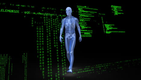 human skeleton walking animation over green digital matrix background