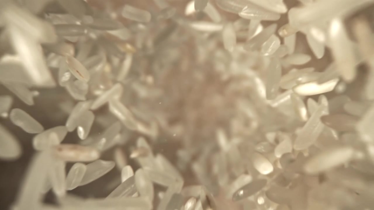 Ripresa macro al rallentatore di chicchi di riso bianco che cadono.