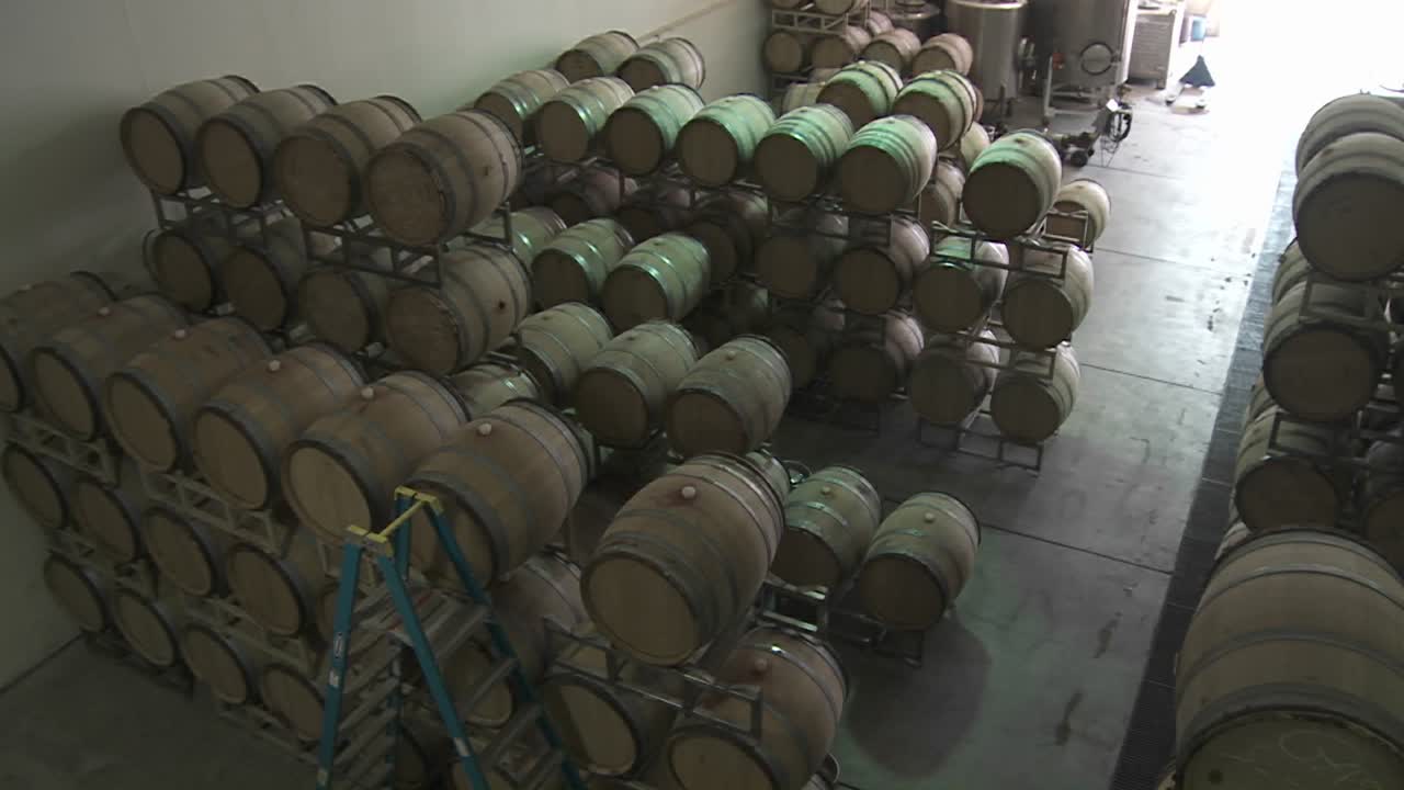 pan a través de barriles de cerveza en un almacén