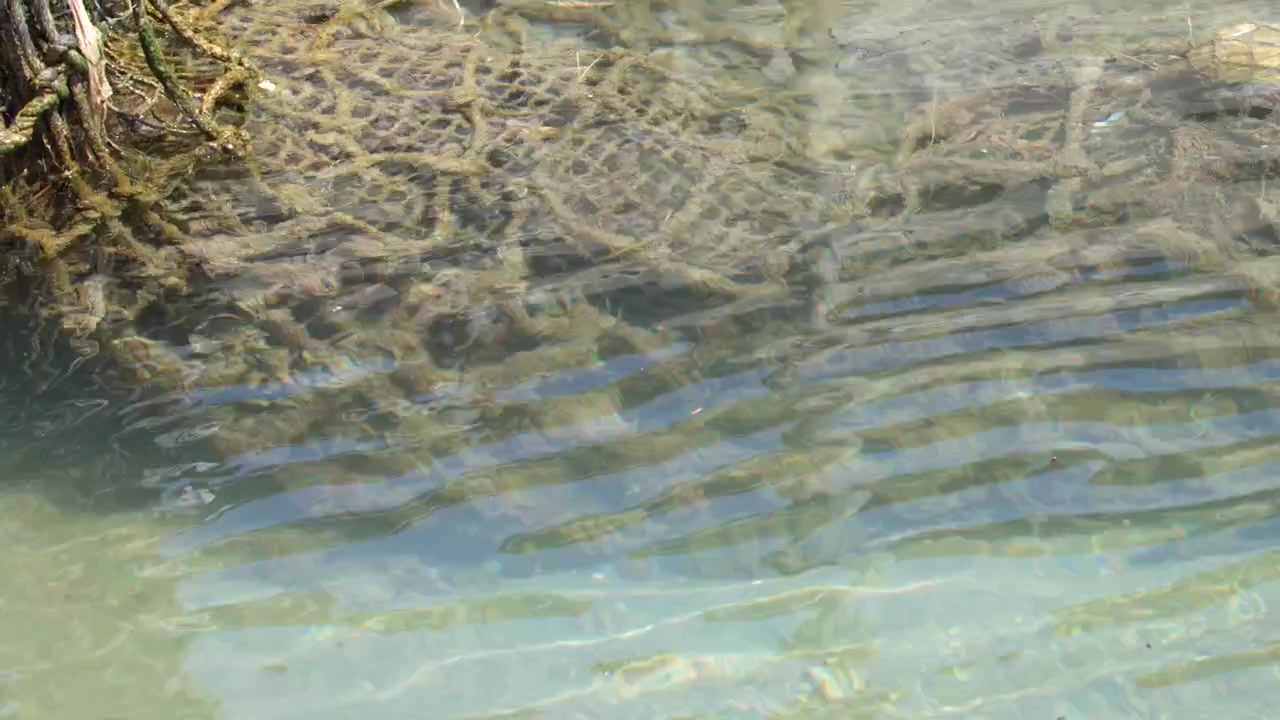 Pemandangan bawah air jaring ikan kusut yang tergeletak di dasar laut di Cassis, Prancis.