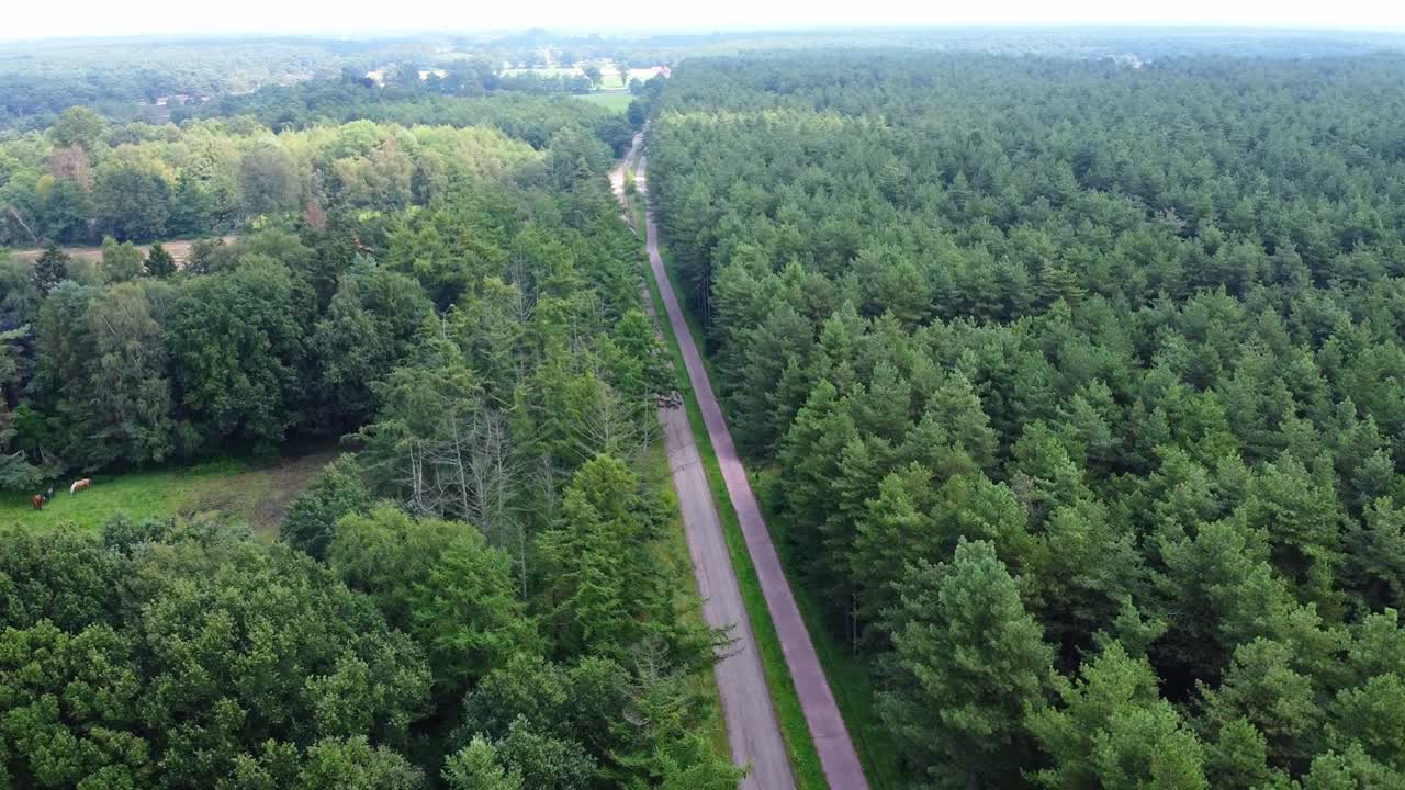 carril para bicicletas dentro del bosque belga y los campos agrícolas en lommel, bélgica