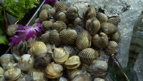 seafood blood clam on ice ready to cook at thailand local street food restaurant