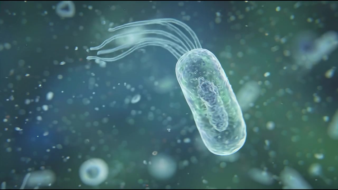 Vista microscopica di batteri che nuotano in un fluido