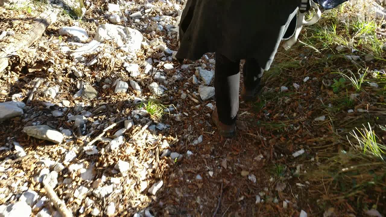 스칸디나비아의 지이로 산의 길을 따라 는 여자의 다리