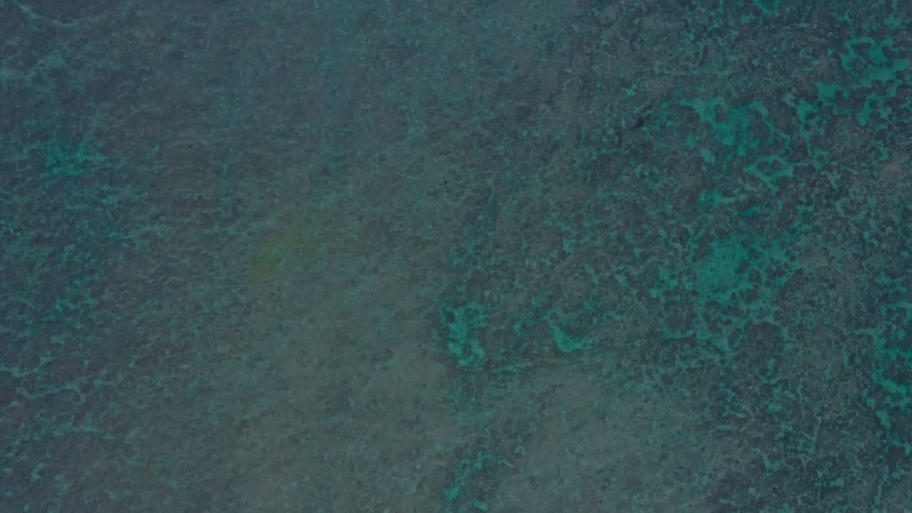 4K drone shot begins directly overhead on a vivid coral reef, then glides forward to reveal the shoreline of Kalihiwai, Kauai. Clear turquoise water, reef texture, and lush coast are featured