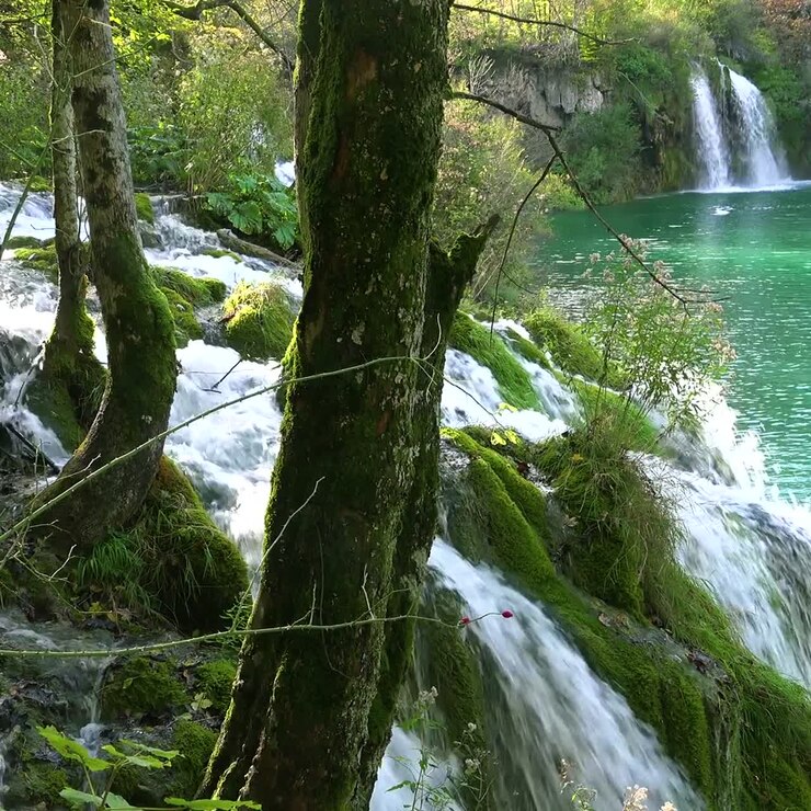 Bellissime cascate scorrono attraverso una giungla verde lussureggiante nel Parco Nazionale di Plitvice in Croazia 3