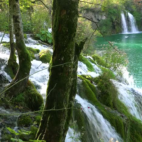 hermosas cascadas fluyen a través de la exuberante jungla verde en el parque nacional de plitvice en croacia 3