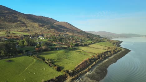 Carlingford-Lough,-Exuberantes-Campos-Verdes-En-El-Condado-De-Louth-Cerca-De-Omeath-Y-Dundalk,-Irlanda,-Vista-Aérea