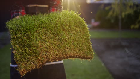 die hände des bauern halten ein stück land mit grünem gras. landhandel und ökologie konzept. 4k video