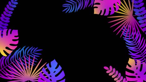 summer tropical gradient palm leaves frame template. animated background with copy space for text. floral border design. exotic jungle leaf on transparent alpha channel. 4k looped animation